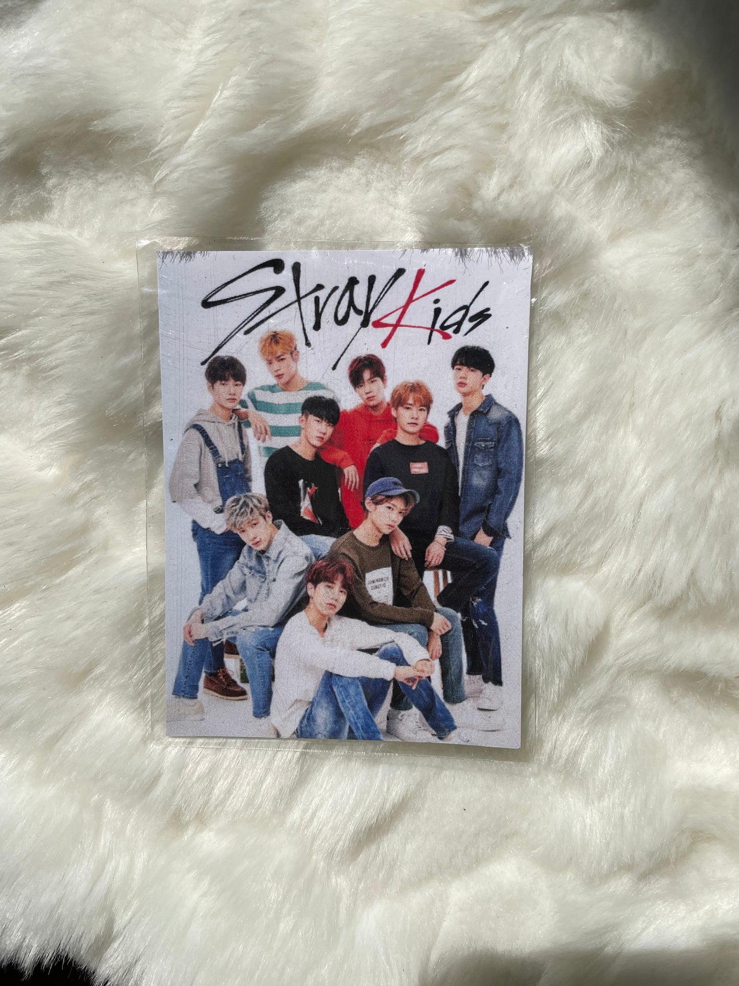 Stray Kids Magnet